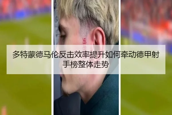 duo-te-meng-de-ma-lun-fan-ji-xiao-lv-ti-sheng-ru-he-qian-dong-de-jia-she-shou-bang-zheng-ti-zou-shi-2-679.jpg